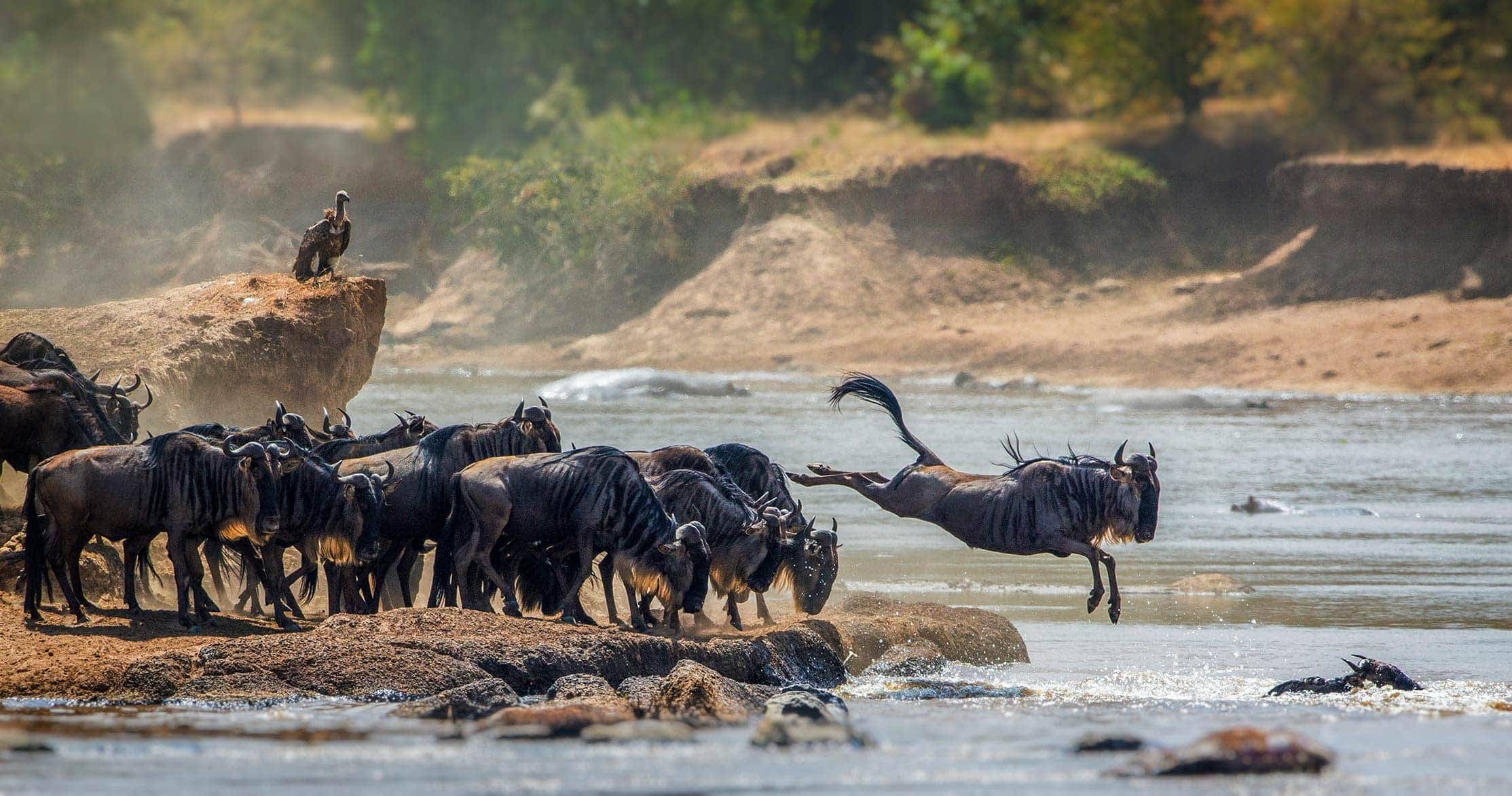 Serengeti National Park - The Great Migration