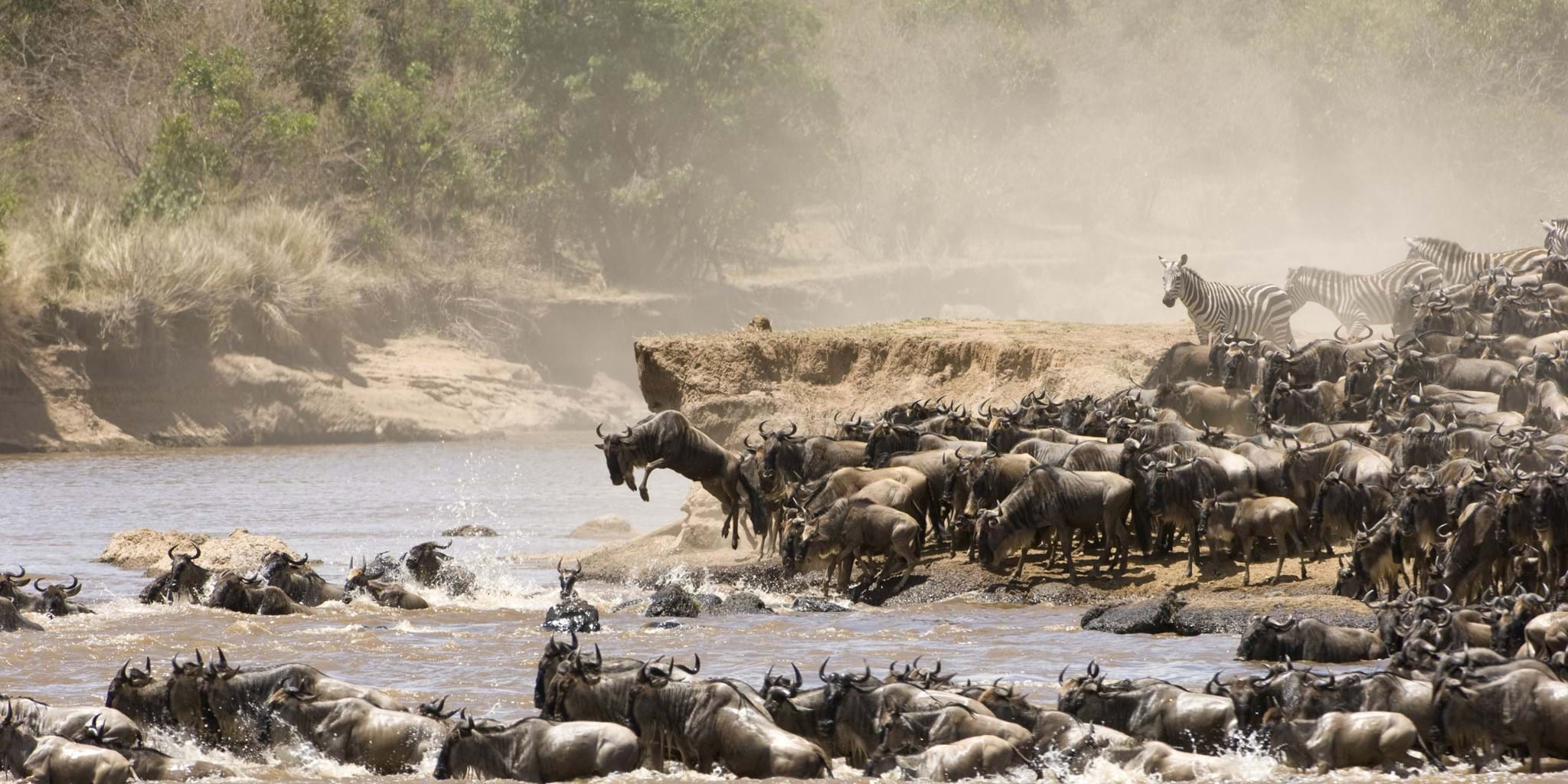 Masai Mara National Reserve