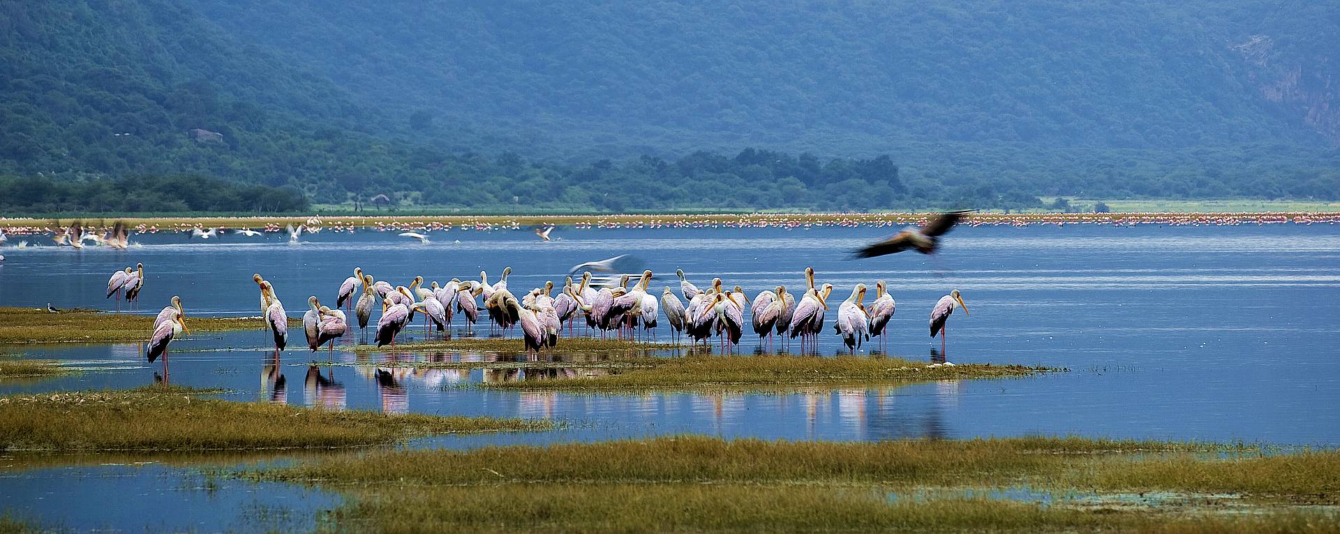 Lake Manyara National Park